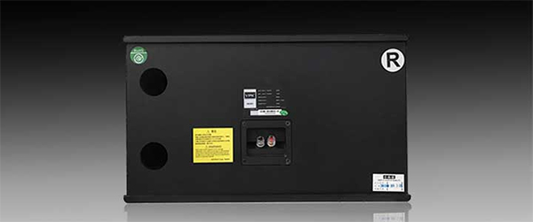 mat sau loa vpk ks 810