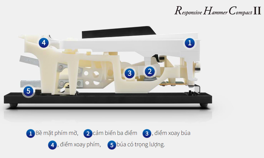 ban phim cao cap tren dan piano dien kawai cx202