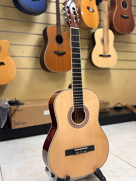 dan guitar acutis ac20 classic gia duoi 2 trieu