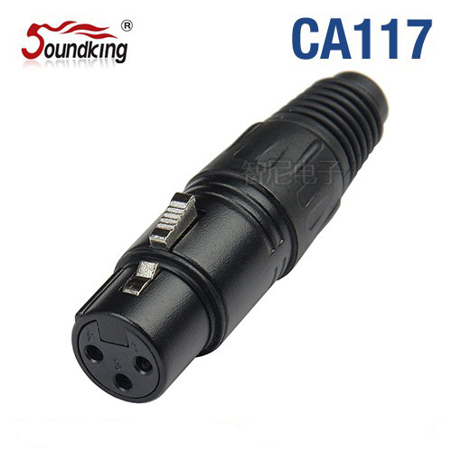 jack canon cai soundking ca117