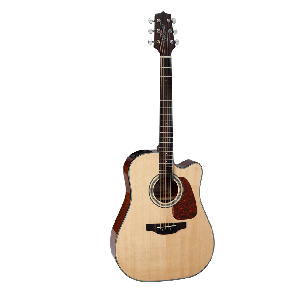 dan guitar takamine gd15ce nat