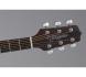 dan guitar takamine gd15ce nat can dan