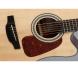 dan guitar takamine gd15ce nat thung dan