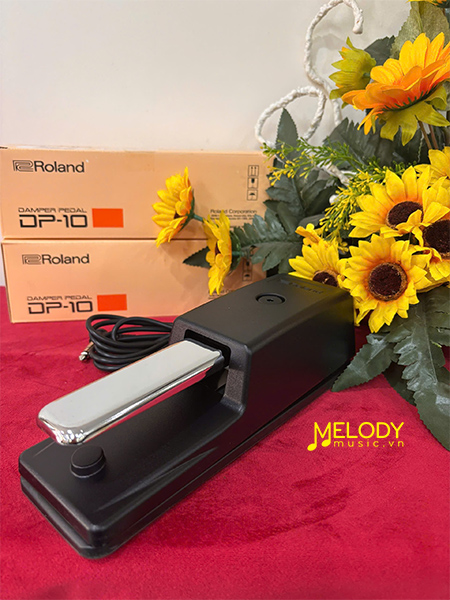 pedal roland dp 10 anh thuc te melody music