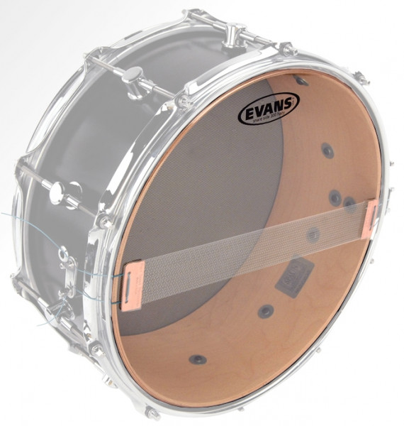 mat trong snare evans s14h30