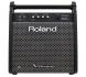 ampli roland pm 100 cho trong dien 2