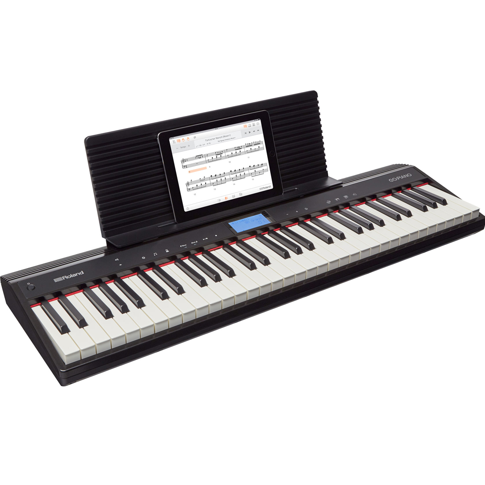 dan organ roland go 61p go piano