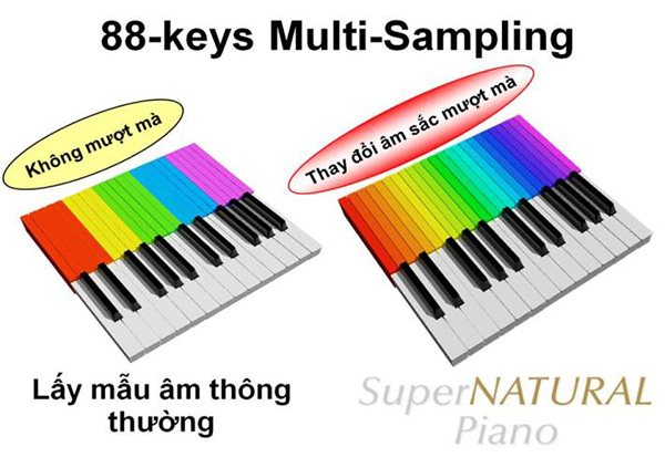 nguon am super natural piano roland fp 10