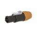 seetronic sac3fcb n w jack nguon cho den