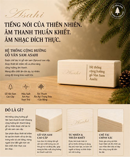 chi tiet he thong cong huong go van sam tren piano asahi