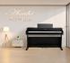 dan piano dien asahi a201 chinh hang 15 trieu 1