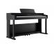 dan piano dien asahi a202 mau den