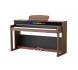 dan piano dien asahi a305 mau nau